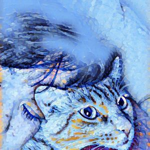 Meet your Posher, Martha